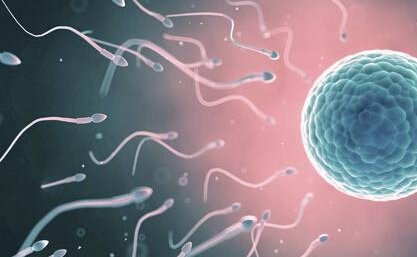 南京试管婴儿成功率会受到肥胖影响吗？