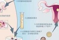 试管3pn胚胎移植价值不高，出现流产、生化几率大