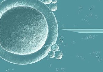 取出卵后怎么自己判断有没有腹水