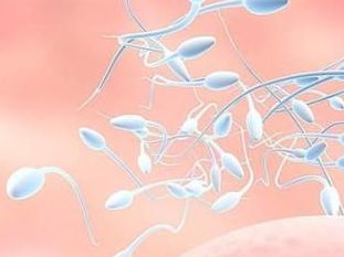 省内首例染色体病三代试管婴儿在市妇产医院顺利临床妊娠