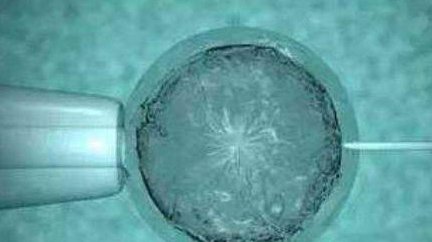 48岁自卵做试管成功率多高？高龄提高试管成功率方法分享